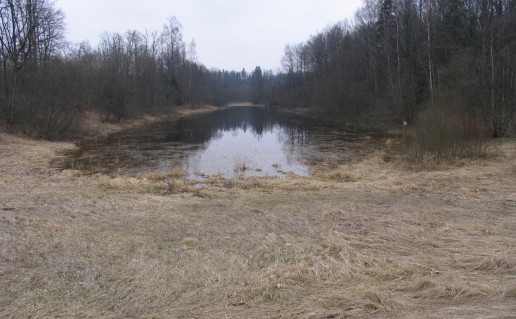 6_Aklaežeris Vokstelis (1).jpg